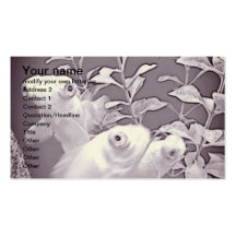 grey scalebubble eye  goldfish business cards