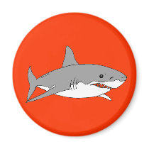 Grey shark