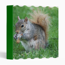 Grey Squirrel Binder