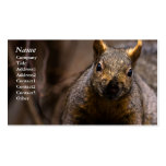 Grey Squirrel- Business cards