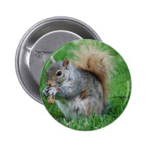 Grey Squirrel  Button