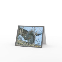 Grey Squirrel Note Card