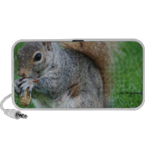 Grey Squirrel Portable Speakers