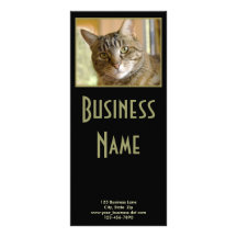 Grey Tabby Close Up Photograph Customized Rack Card