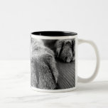 Grey Tabby Kitty Coffee Mugs