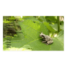 Grey Tree Frog Business Card