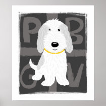 Grey & White PBGV