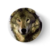 Grey Wolf