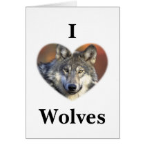 Grey Wolf