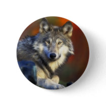 Grey Wolf, Endangered Species Digital Photography