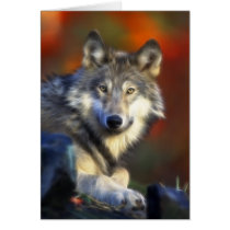 Grey Wolf, Endangered Species Digital Photography