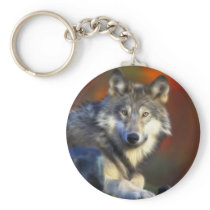 Grey Wolf, Endangered Species Digital Photography