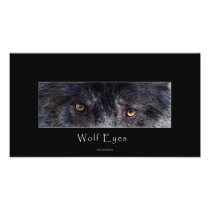 Grey Wolf Eyes Wildlife Animal Photo Print