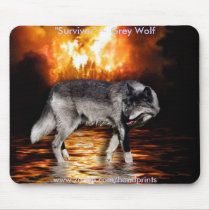 Grey Wolf & Forest Fire