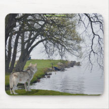 Grey Wolf & Herons by Lake Wildlife Mousepad