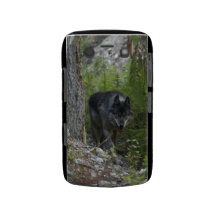 Grey Wolf in Forest Wildlife Photo Blackberry Case