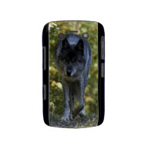 Grey Wolf in Forest Wildlife Photo Blackberry Case