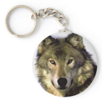Grey Wolf