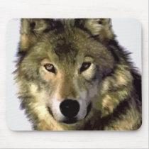 Grey Wolf