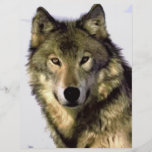 Grey Wolf Personalized Flyer
