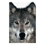 Grey Wolf Personalized Stationery