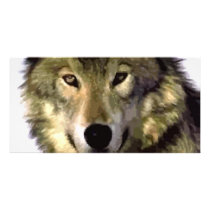 Grey Wolf