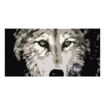Grey Wolf