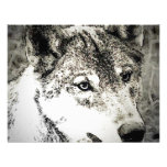 Grey Wolf Portrait Custom Announcement