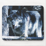 Grey Wolf Wildlife Conservation Mousepad
