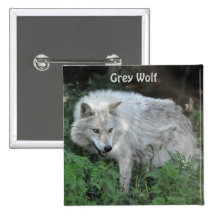 Grey Wolf Wildlife-lover Buttons