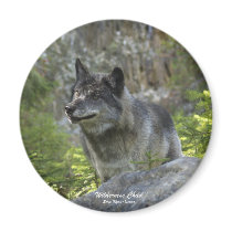 Grey Wolf Wildlife Photography Magnet