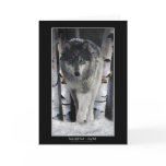 GREY WOLF & WOODS Art & Poetry Greeting-Cards