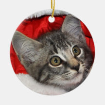 Greyfoot Cat Rescue Silver Grey Tabby Ornament