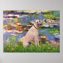Greyhound 2 - Lilies 2 Print