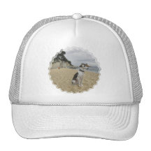 Greyhound Baseball Hat