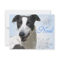 Greyhound Black & White Noel2