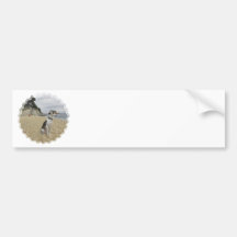 Greyhound Bumper Stickers