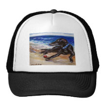 Greyhound by the sea hats