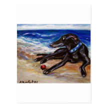 Greyhound by the sea postcards