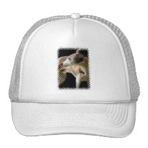 Greyhound Dog  Baseball Hat