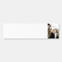 Greyhound Dog  Bumper Sticker