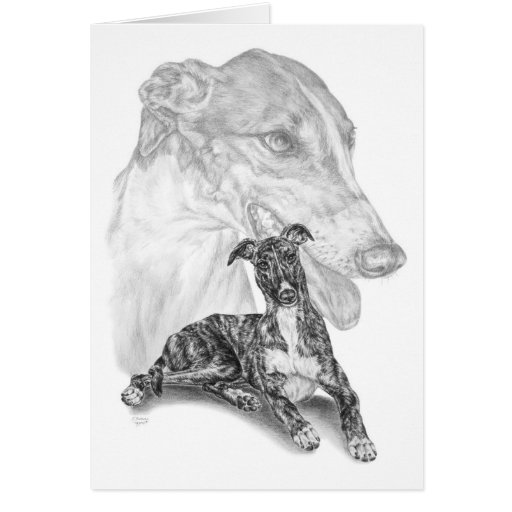 Greyhound Dog Drawing by Kelli Swan Greeting Cards