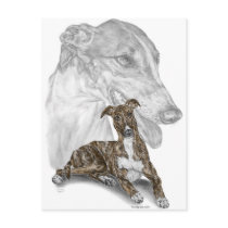 Greyhound Dog Portrait Art Postcards