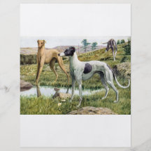 Greyhound Full Color Flyer