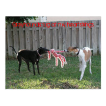 Greyhound heartstrings postcard