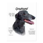 Greyhound History Design Postcards