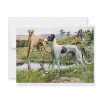 Greyhound Announcements