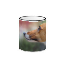 Greyhound mug 13
