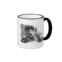 Greyhound Puppy Coffee Mug