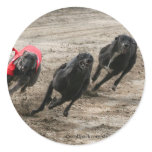 greyhound race round sticker